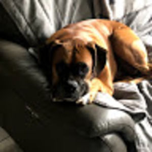 Meet your Posher, Jaden